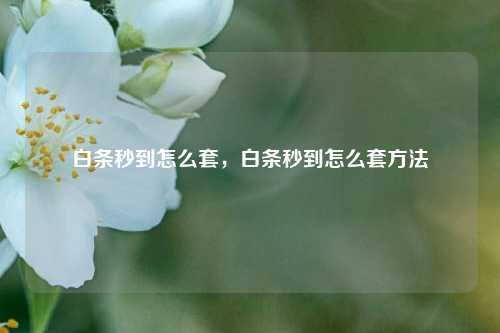 白条秒到怎么套，白条秒到怎么套方法