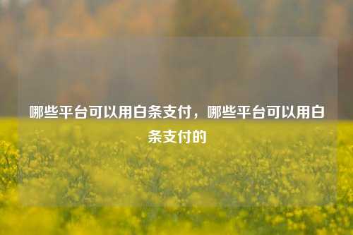 哪些平台可以用白条支付，哪些平台可以用白条支付的