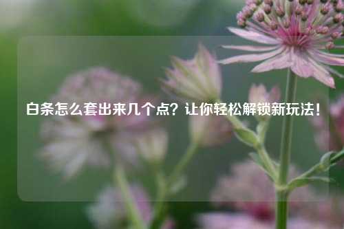 白条怎么套出来几个点？让你轻松解锁新玩法！