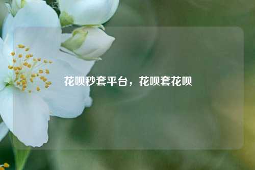 花呗秒套平台，花呗套花呗