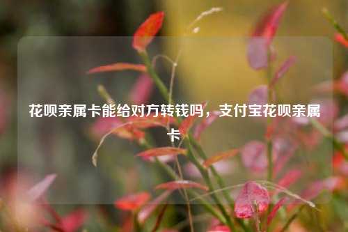 花呗亲属卡能给对方转钱吗，支付宝花呗亲属卡