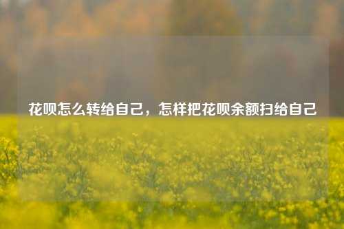 花呗怎么转给自己，怎样把花呗余额扫给自己