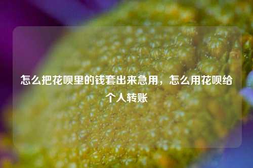 怎么把花呗里的钱套出来急用，怎么用花呗给个人转账