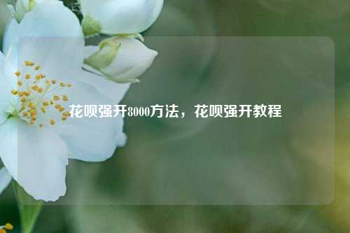 花呗强开8000方法，花呗强开教程