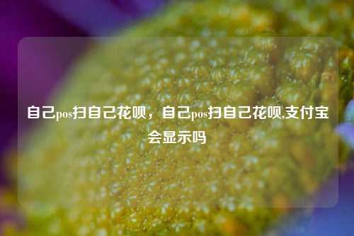 自己pos扫自己花呗，自己pos扫自己花呗,支付宝会显示吗