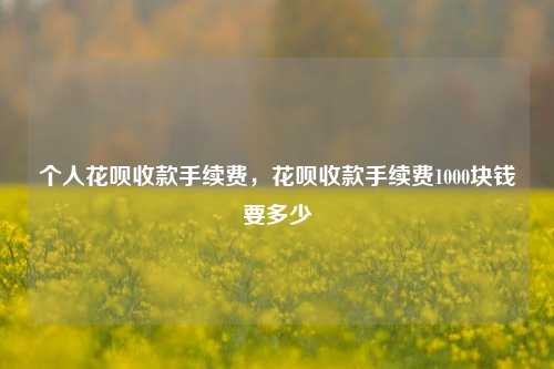 个人花呗收款手续费，花呗收款手续费1000块钱要多少