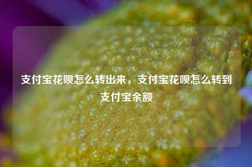 支付宝花呗怎么转出来，支付宝花呗怎么转到支付宝余额