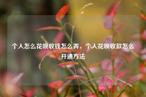 个人怎么花呗收钱怎么弄，个人花呗收款怎么开通方法