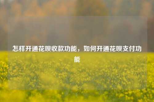 怎样开通花呗收款功能，如何开通花呗支付功能