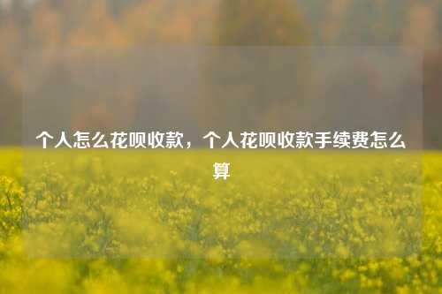 个人怎么花呗收款，个人花呗收款手续费怎么算