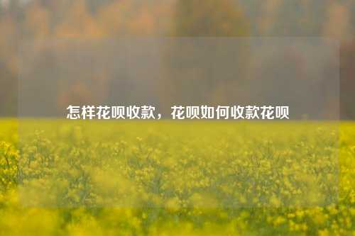 怎样花呗收款，花呗如何收款花呗