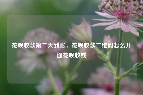 花呗收款第二天到账，花呗收款二维码怎么开通花呗收钱