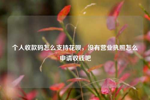 个人收款码怎么支持花呗，没有营业执照怎么申请收钱吧