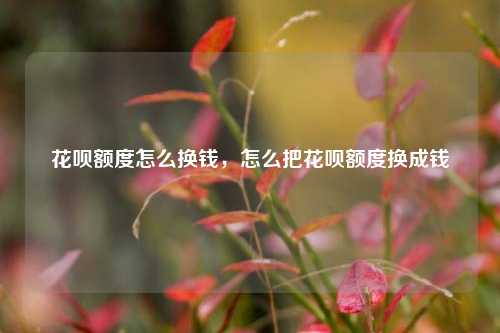 花呗额度怎么换钱，怎么把花呗额度换成钱