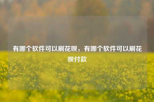 有哪个软件可以刷花呗，有哪个软件可以刷花呗付款