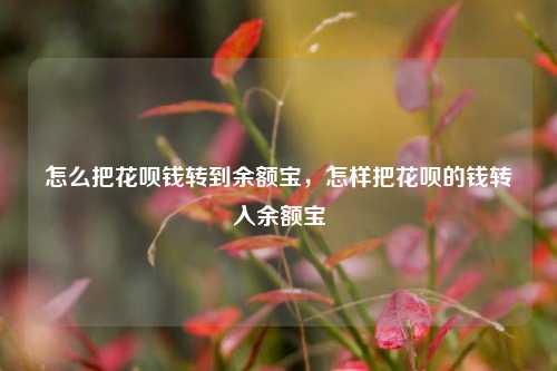 怎么把花呗钱转到余额宝，怎样把花呗的钱转入余额宝