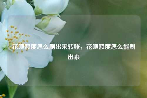 花呗额度怎么刷出来转账，花呗额度怎么能刷出来