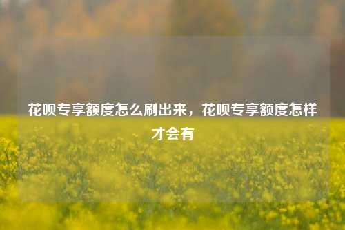 花呗专享额度怎么刷出来，花呗专享额度怎样才会有