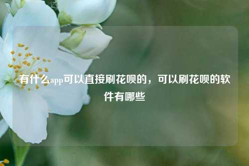 有什么app可以直接刷花呗的，可以刷花呗的软件有哪些