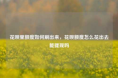 花呗里额度如何刷出来，花呗额度怎么花出去能提现吗