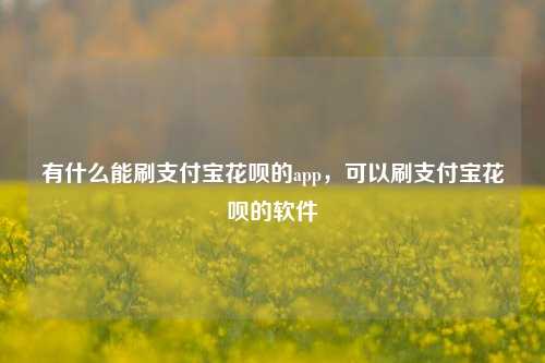 有什么能刷支付宝花呗的app，可以刷支付宝花呗的软件