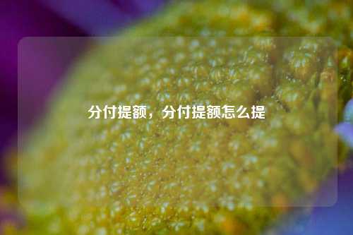 分付提额，分付提额怎么提