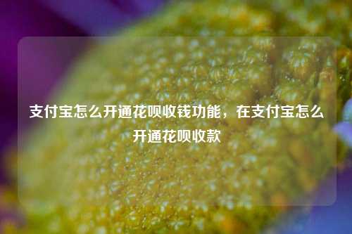 支付宝怎么开通花呗收钱功能，在支付宝怎么开通花呗收款