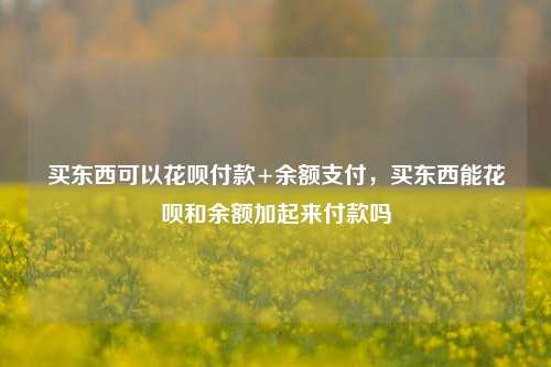 买东西可以花呗付款+余额支付，买东西能花呗和余额加起来付款吗