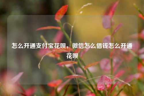 怎么开通支付宝花呗，微信怎么借钱怎么开通花呗