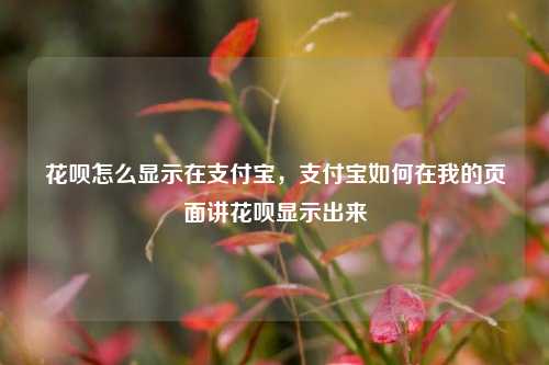 花呗怎么显示在支付宝，支付宝如何在我的页面讲花呗显示出来