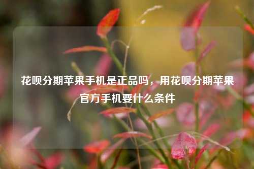 花呗分期苹果手机是正品吗，用花呗分期苹果官方手机要什么条件