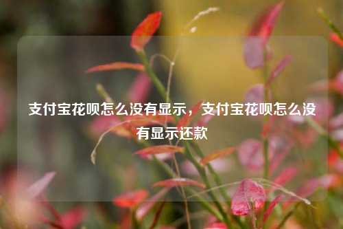 支付宝花呗怎么没有显示，支付宝花呗怎么没有显示还款