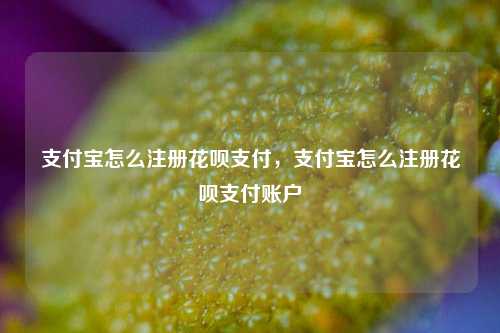 支付宝怎么注册花呗支付，支付宝怎么注册花呗支付账户