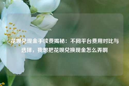 花呗兑现金手续费揭秘：不同平台费用对比与选择，我想把花呗兑换现金怎么弄啊