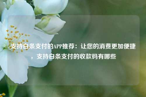 支持白条支付的APP推荐：让您的消费更加便捷，支持白条支付的收款码有哪些