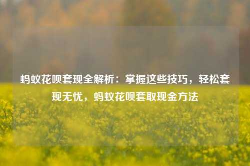 蚂蚁花呗套现全解析：掌握这些技巧，轻松套现无忧，蚂蚁花呗套取现金方法