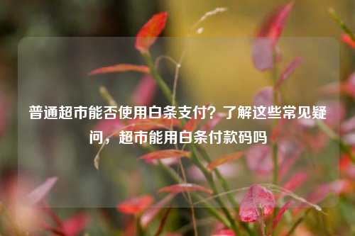 普通超市能否使用白条支付？了解这些常见疑问，超市能用白条付款码吗