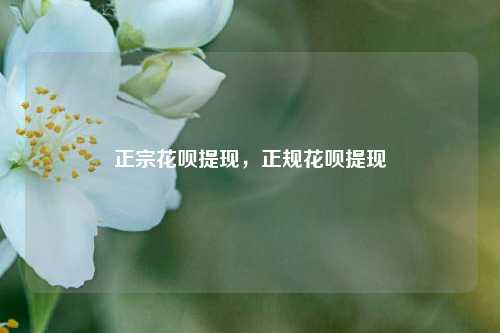 正宗花呗提现，正规花呗提现