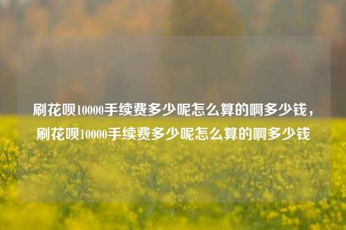 刷花呗10000手续费多少呢怎么算的啊多少钱，刷花呗10000手续费多少呢怎么算的啊多少钱