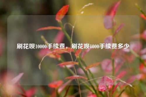 刷花呗10000手续费，刷花呗1000手续费多少