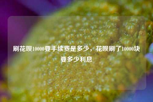 刷花呗10000要手续费是多少，花呗刷了10000块要多少利息