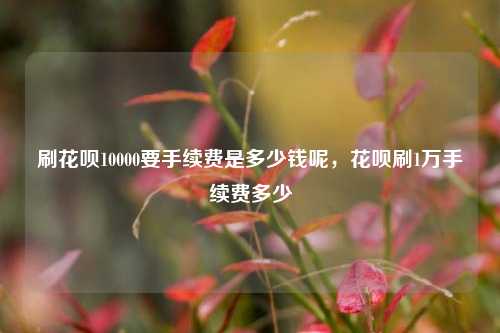 刷花呗10000要手续费是多少钱呢，花呗刷1万手续费多少