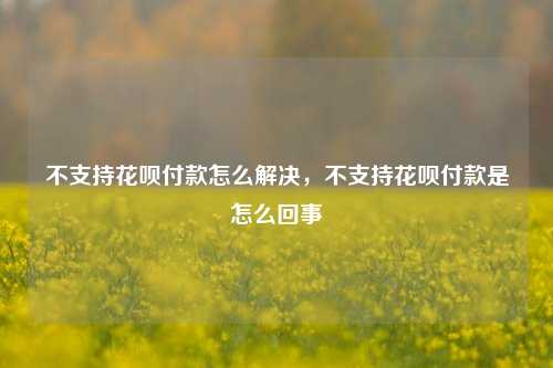 不支持花呗付款怎么解决，不支持花呗付款是怎么回事