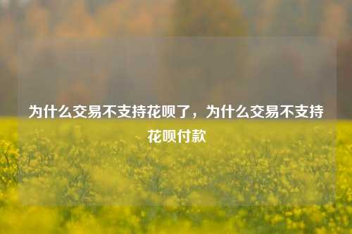 为什么交易不支持花呗了，为什么交易不支持花呗付款