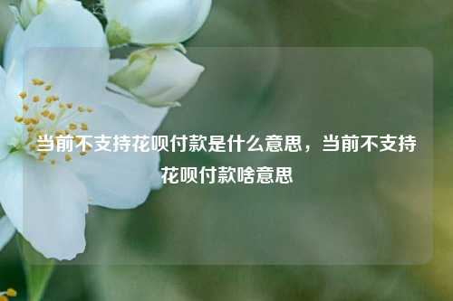 当前不支持花呗付款是什么意思，当前不支持花呗付款啥意思