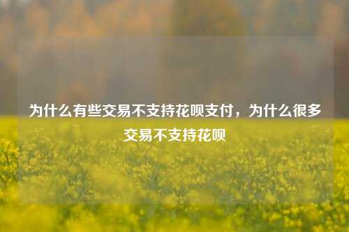 为什么有些交易不支持花呗支付，为什么很多交易不支持花呗