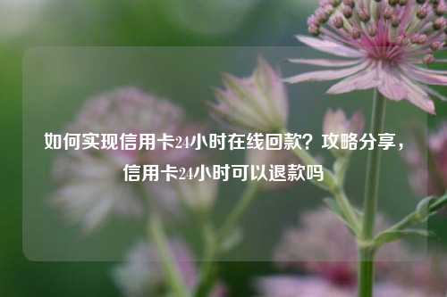 如何实现信用卡24小时在线回款？攻略分享，信用卡24小时可以退款吗