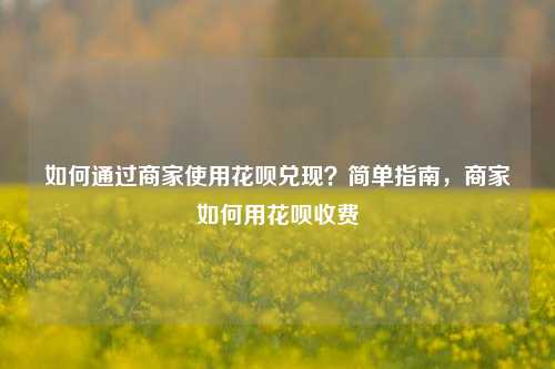 如何通过商家使用花呗兑现？简单指南，商家如何用花呗收费