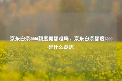 京东白条8000额度提额难吗，京东白条额度8000是什么意思