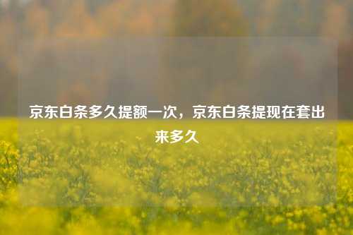 京东白条多久提额一次，京东白条提现在套出来多久